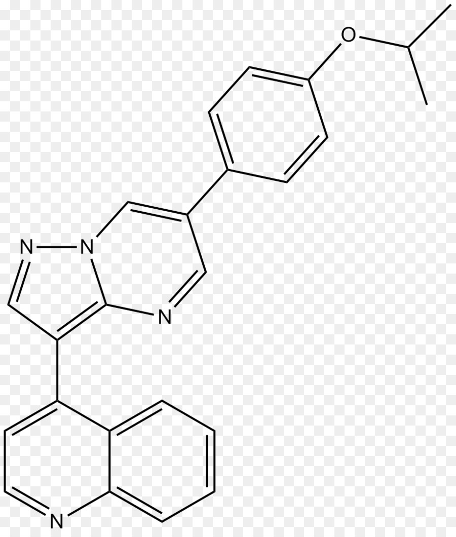 La Proteína Morfogenética Del Hueso，Factor De Crecimiento Transformante Beta PNG