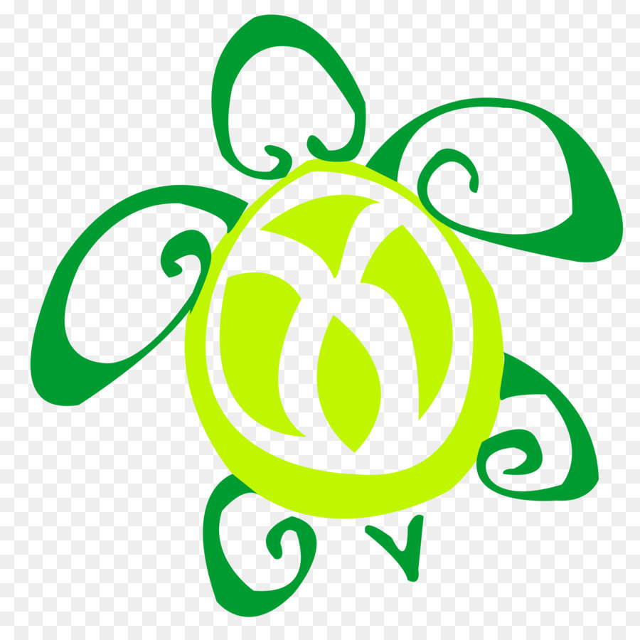 Tortuga Verde，Dibujo PNG