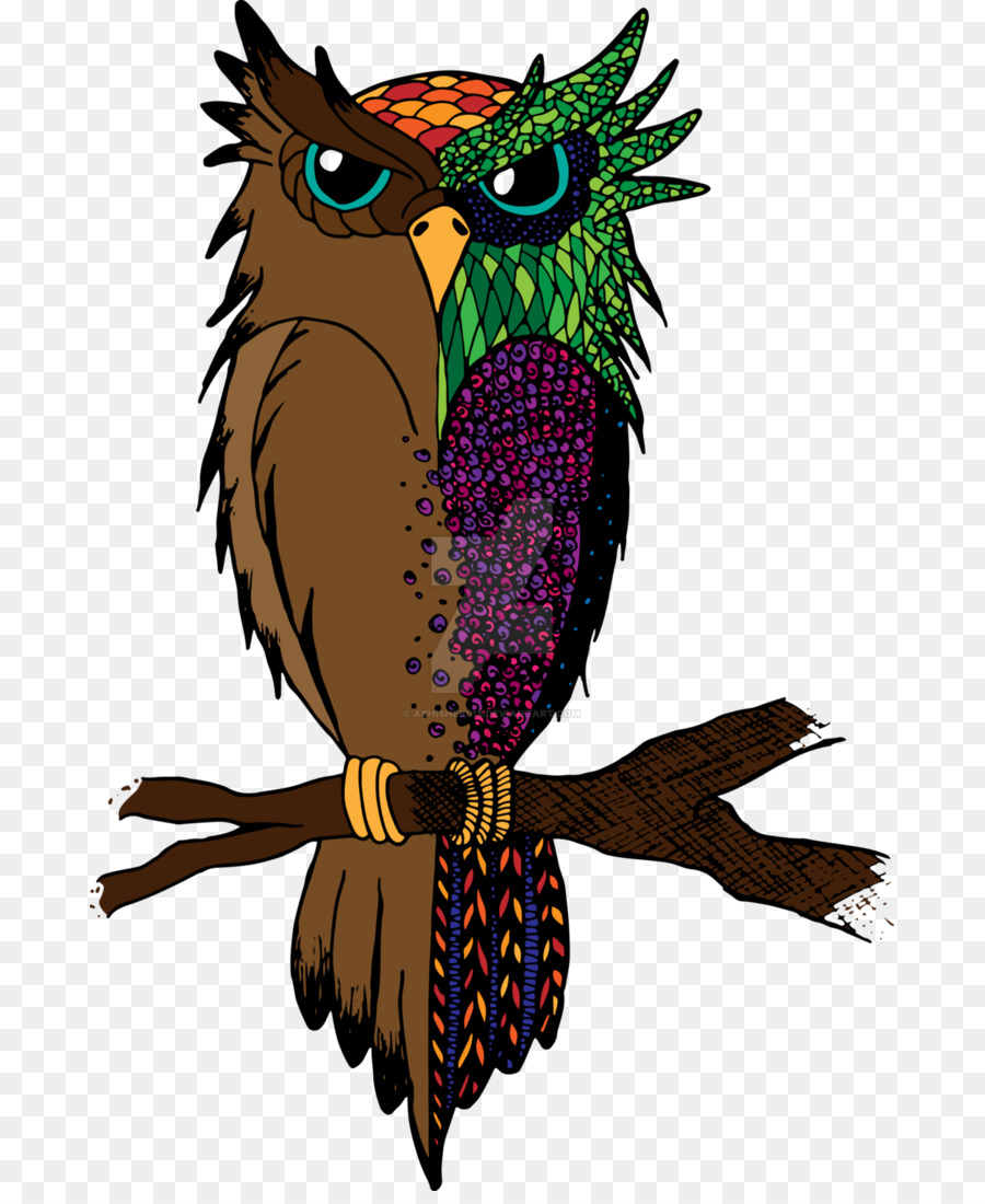 Búho Colorido，Pájaro PNG