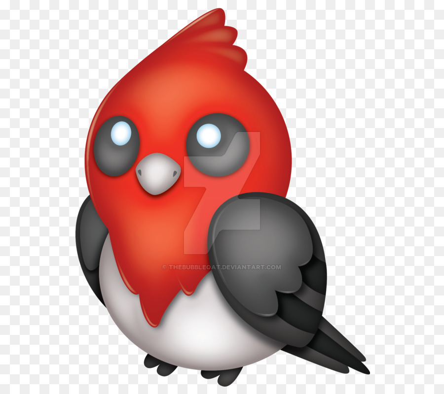 Pico，Aves PNG