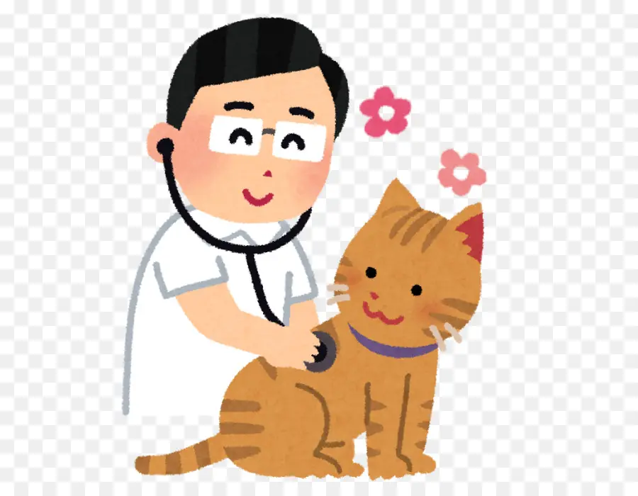 Gato，Veterinario PNG