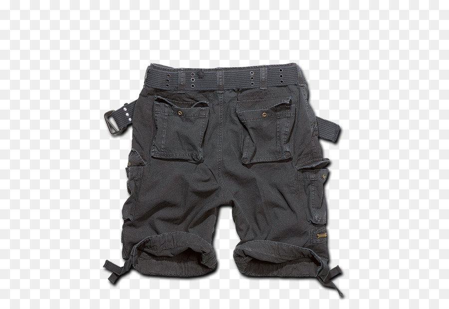 Bermudas，Pantalones Cortos PNG