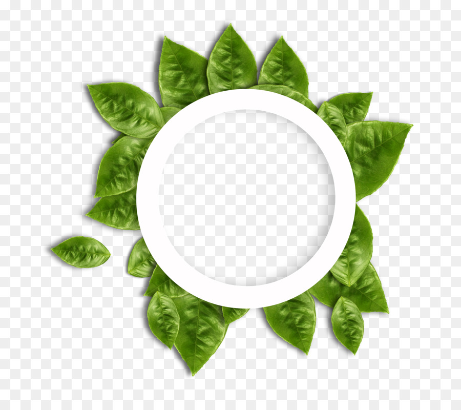 Verde，Publicidad PNG