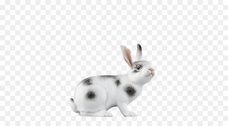 Conejo Blanco，Conejito PNG