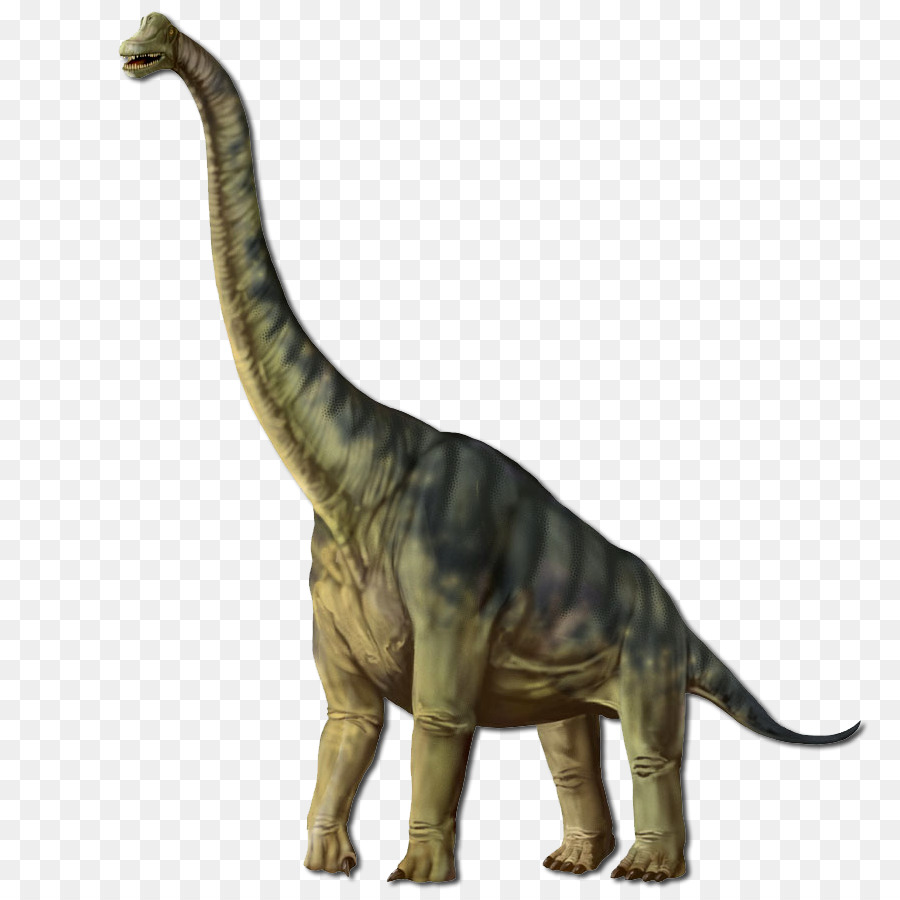 Dinosaurio De Cuello Largo，Prehistórico PNG