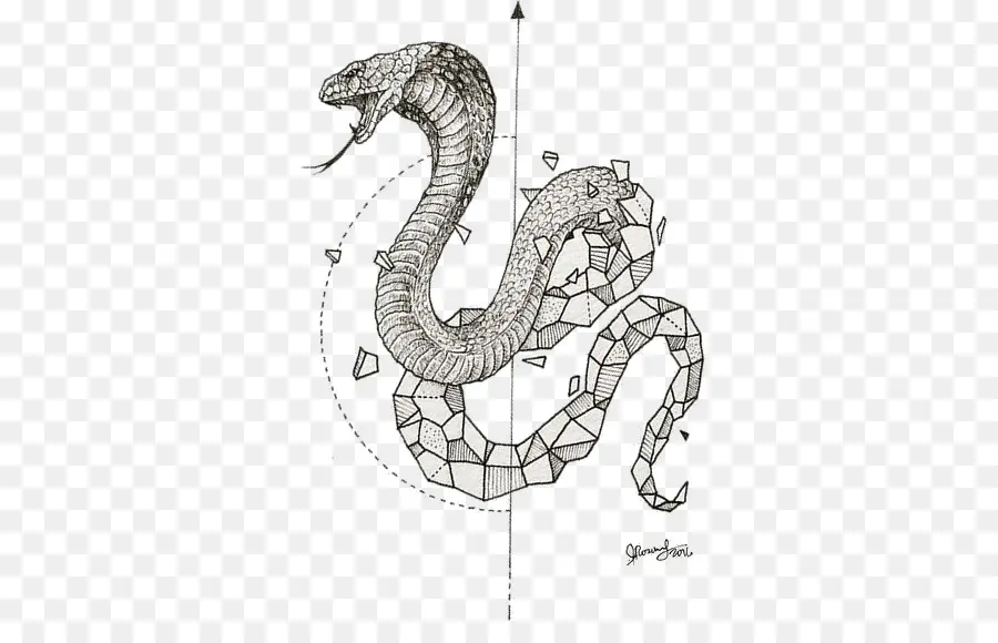 La Serpiente De Cascabel，Serpiente PNG