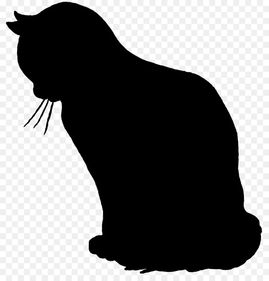 Gato，Silueta PNG