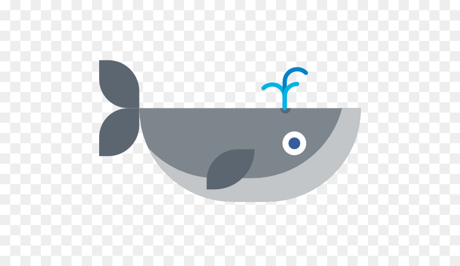 Diseño Plano，Cetacea PNG