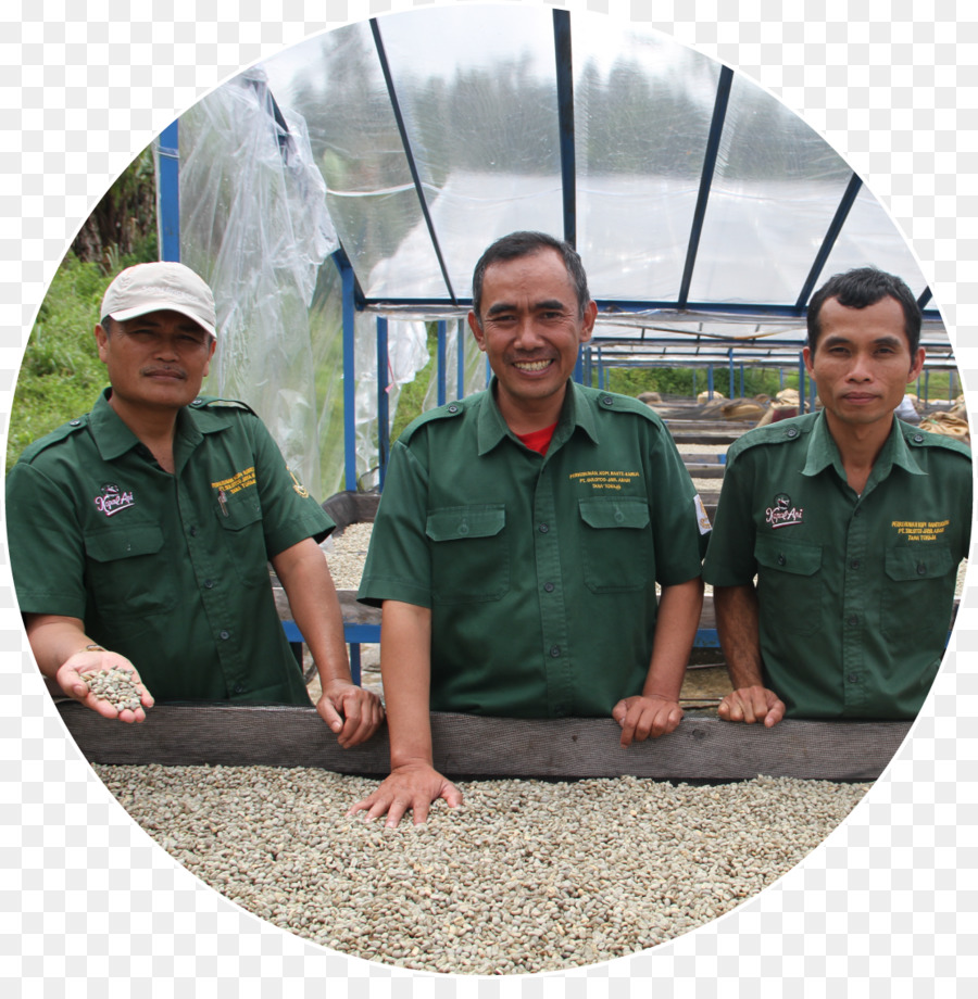 Awan Gama Karua，El Grano De Café PNG