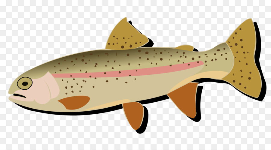 Salmón，La Trucha PNG