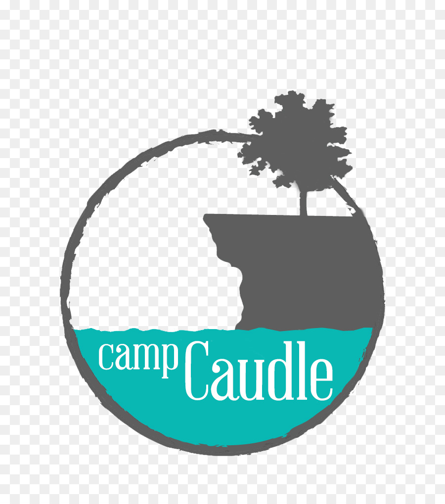 Campamento De Día，Campamento De Verano PNG