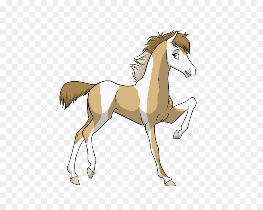 Caballo Corriendo，Animal PNG