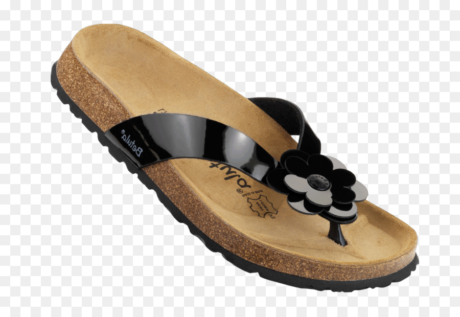 Zapatilla，Zapato PNG