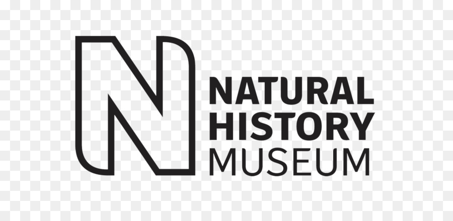 Museo De Historia Natural，Dippy PNG