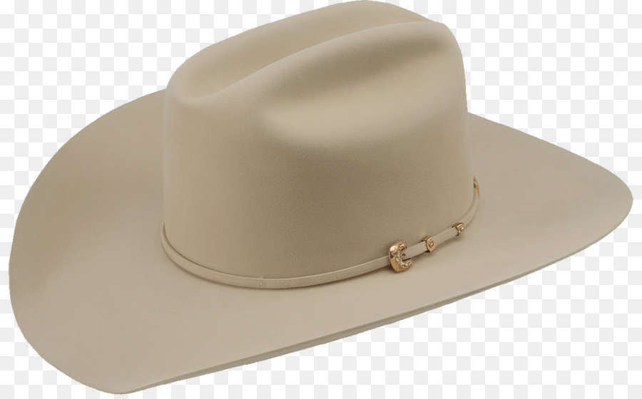 Sombrero De Vaquero，Sombreros PNG