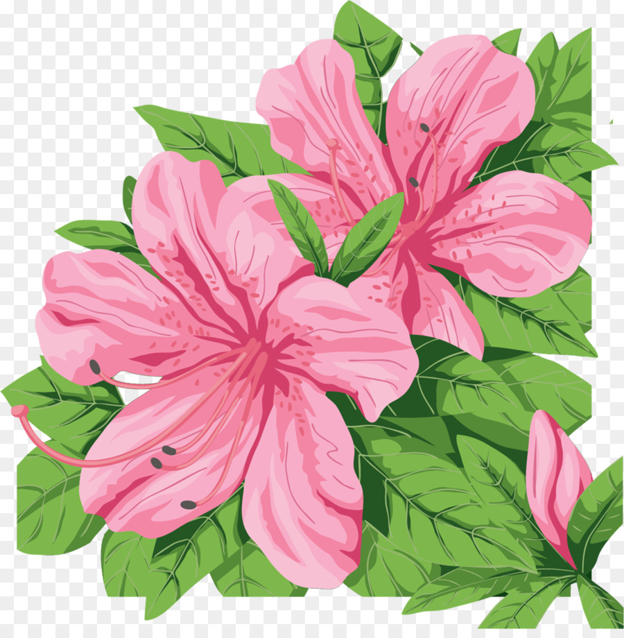 Flores Rosadas，Hojas Verdes PNG