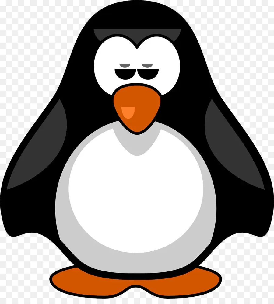 Pingüino，Antarctica PNG