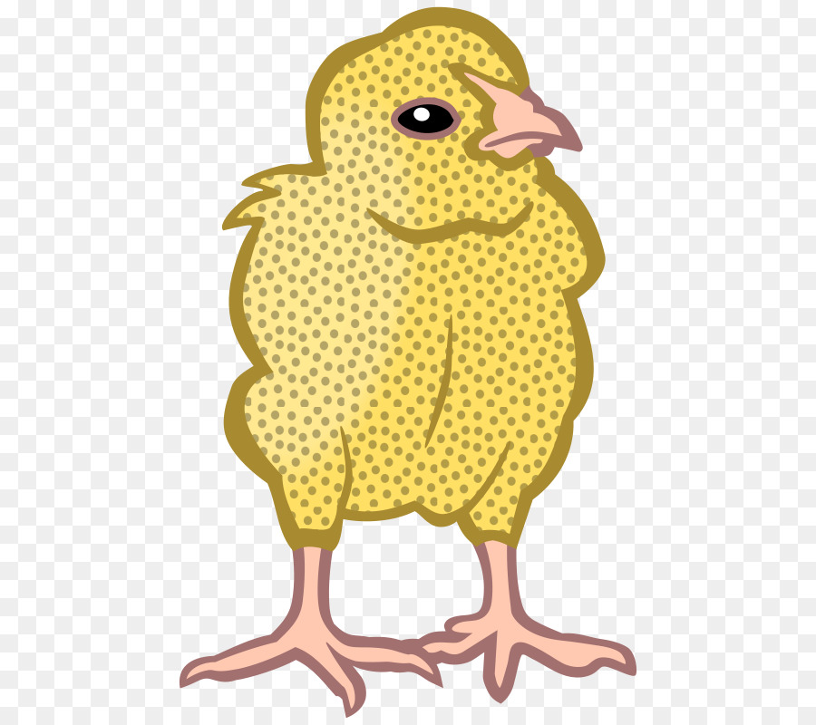 Pollo，Dibujo PNG