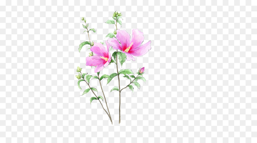 Flor，Dibujo PNG