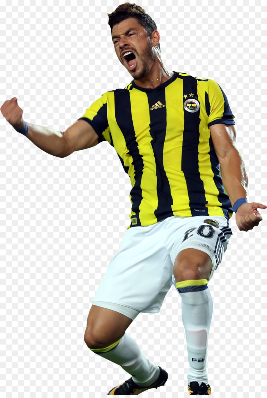 Giuliano De Paula，Fenerbahçe Sk PNG