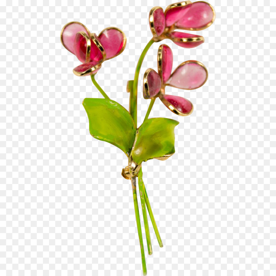 La Polilla De Las Orquídeas，Las Flores Cortadas PNG