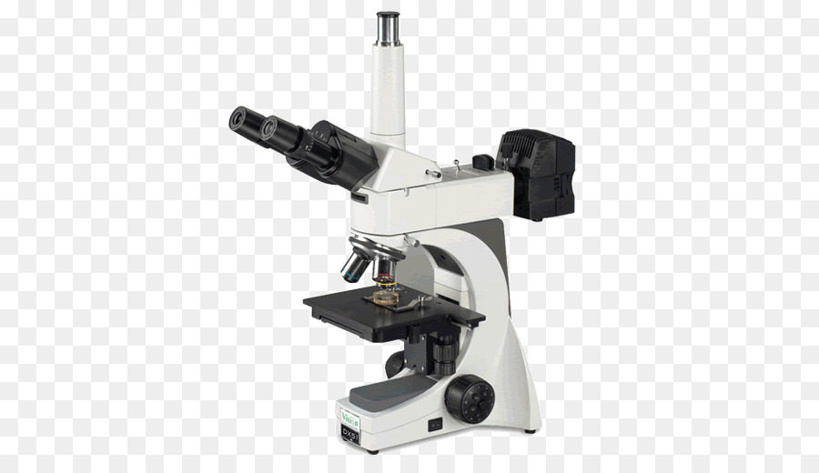 Microscopio，Microscopio óptico PNG