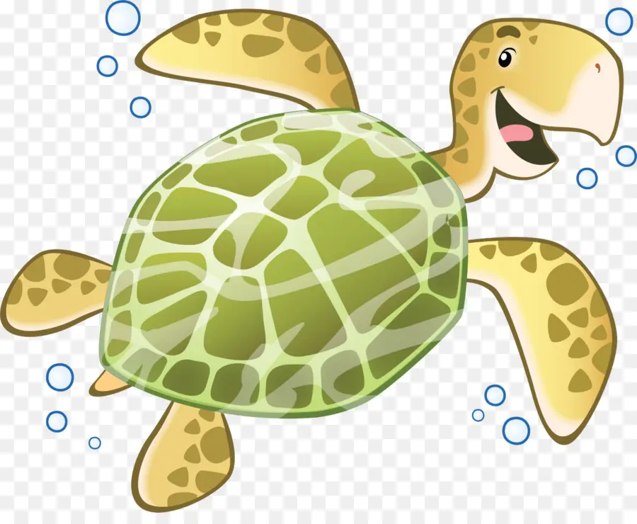 Tortuga，Dibujos Animados PNG