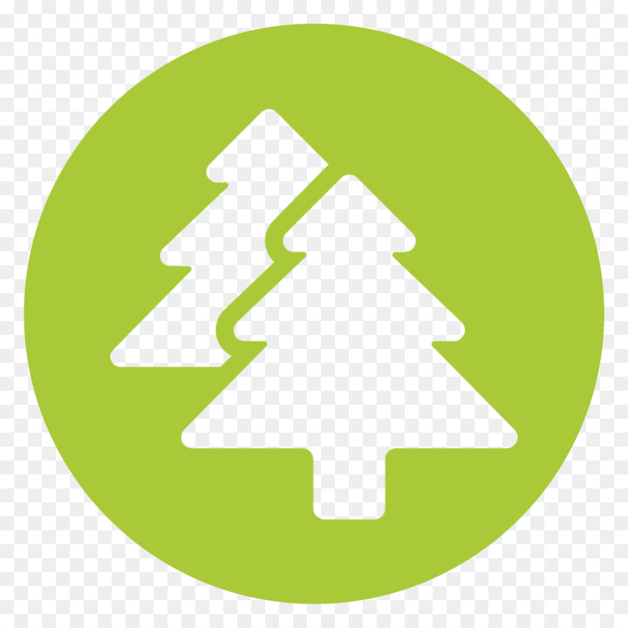 Esquema Del árbol De Navidad，Árbol PNG