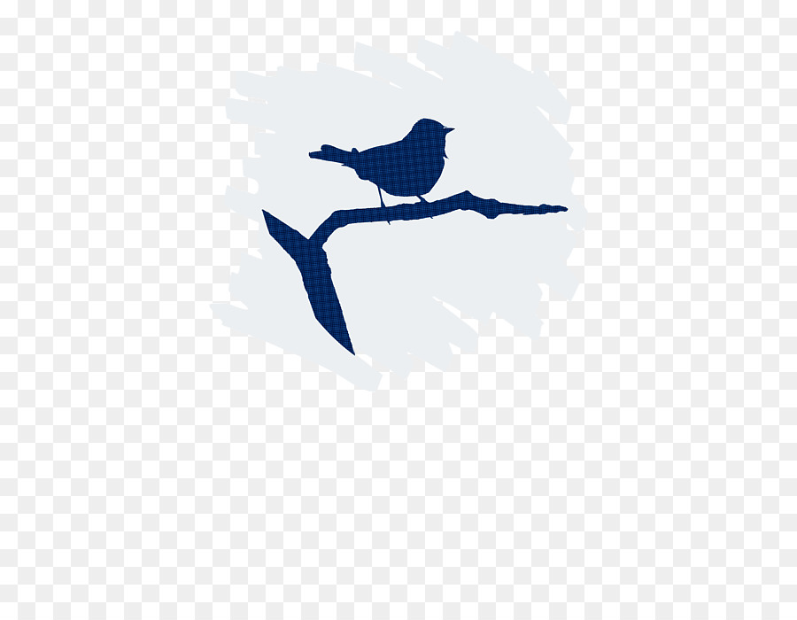 Aves，Pico PNG