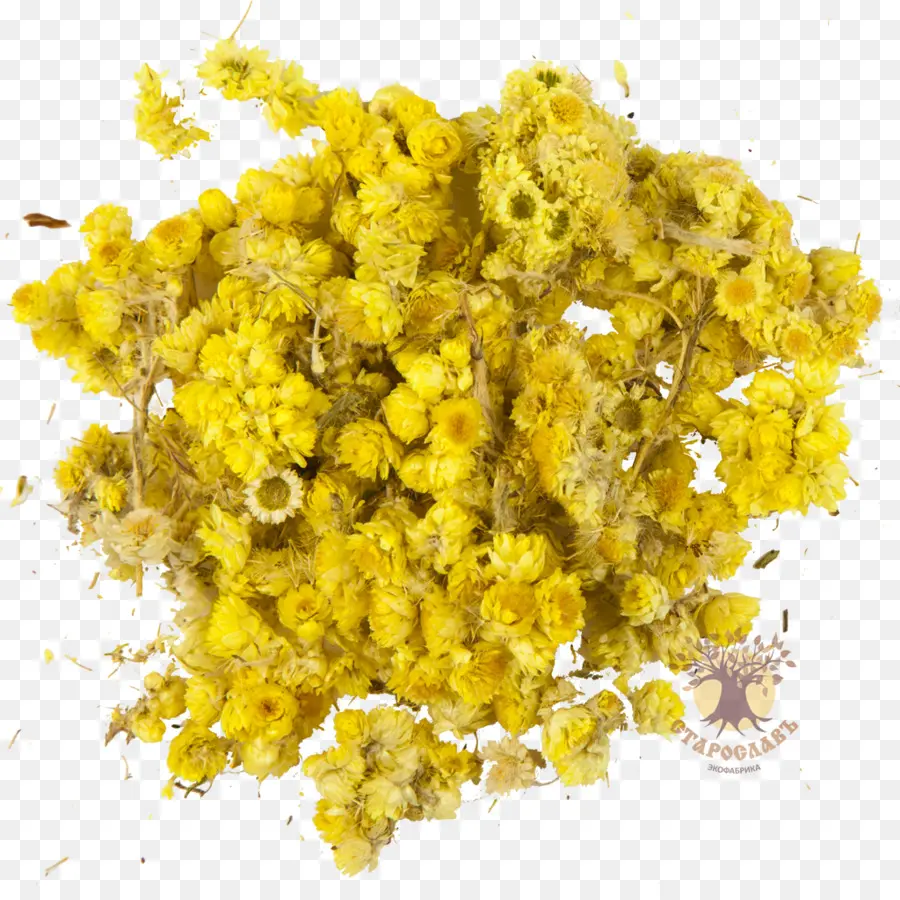 Helichrysum Arenarium，La Cúrcuma PNG