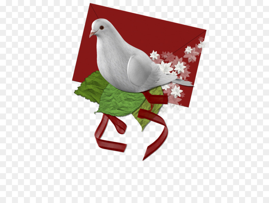 Columbidae，Las Imágenes De Google PNG