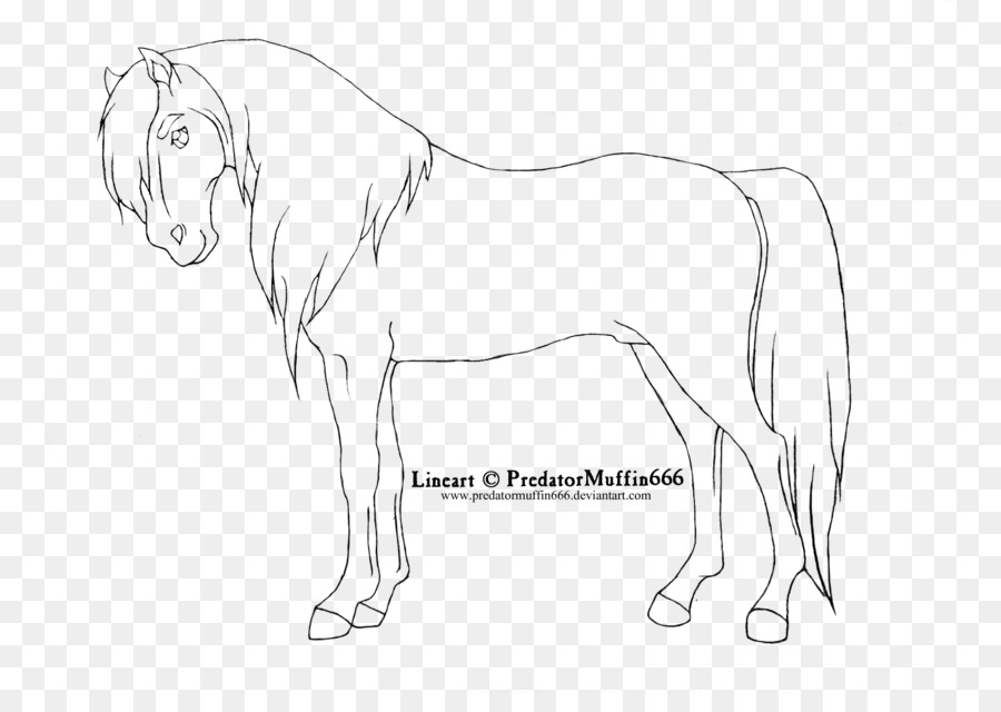 Caballo，Arte Lineal PNG