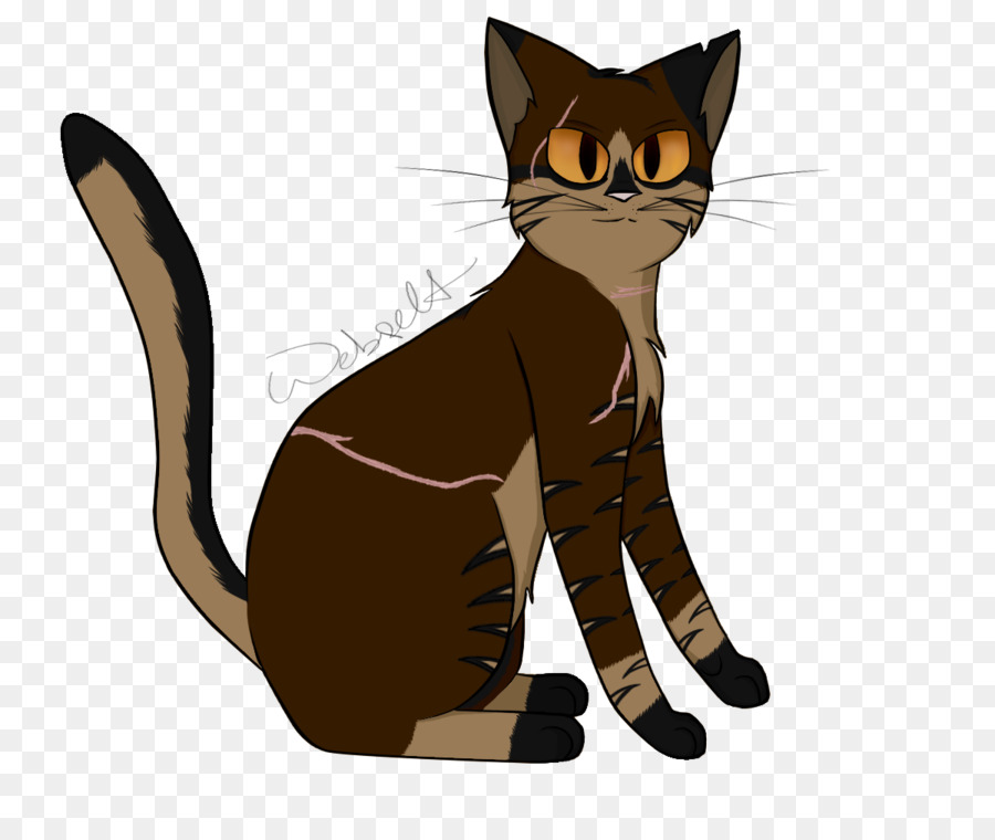 Bigotes，Gatito PNG