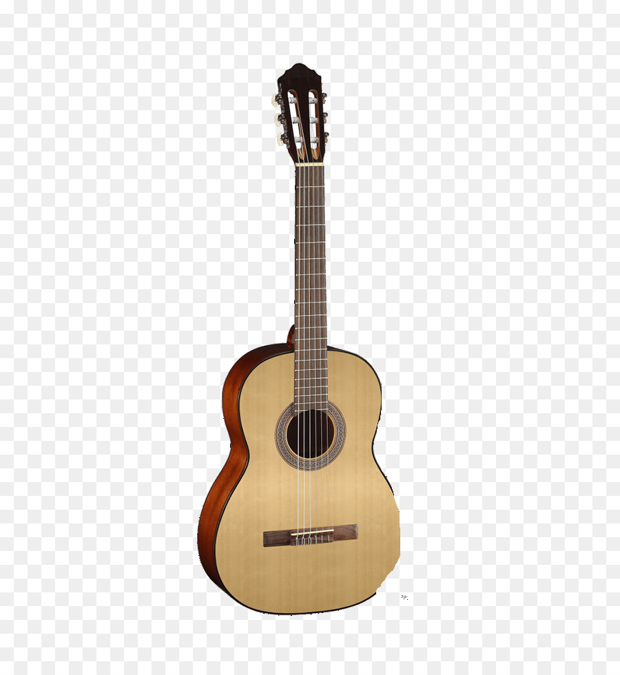 Guitarra，Instrumentos De Cuerda PNG