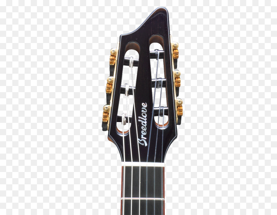 Clavijero De Guitarra，Instrumentos De Cuerda PNG