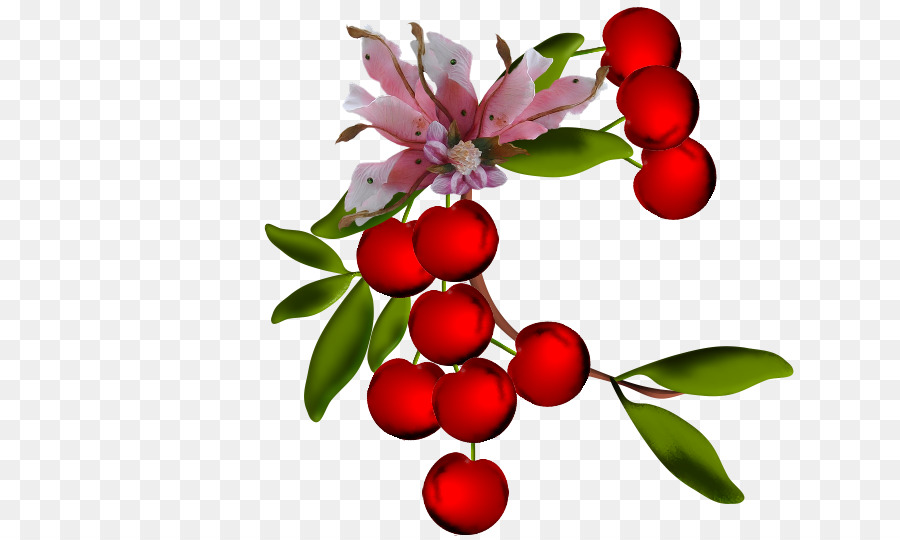 Arándano Rojo，Cereza PNG