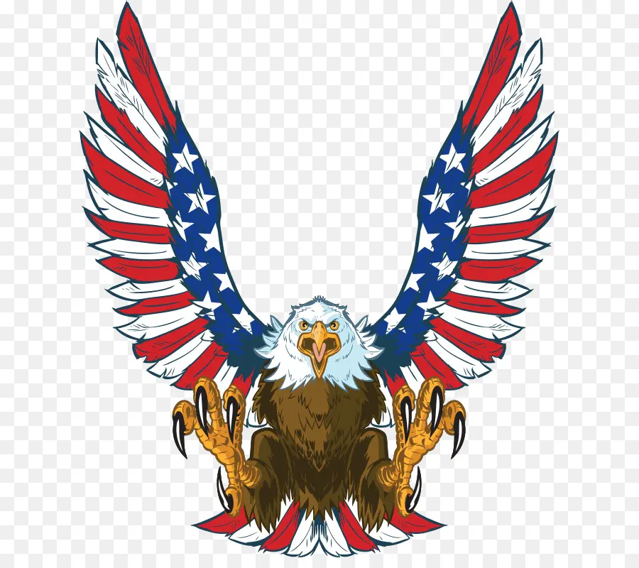 águila Calva，Estados Unidos PNG