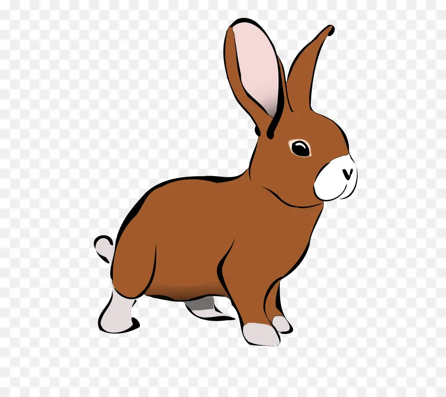 Conejo，Nacionales De Conejo PNG