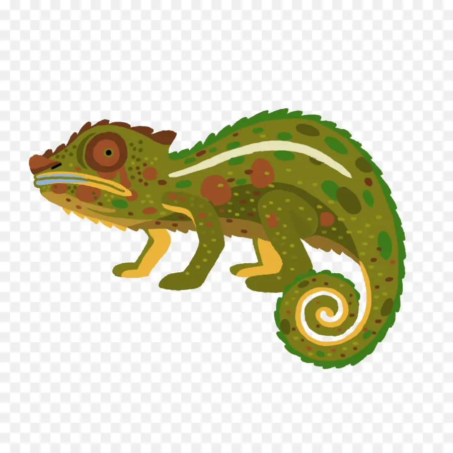 Los Camaleones，Iguanas PNG