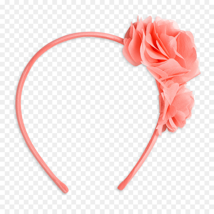 Diadema，Lazo De Pelo PNG