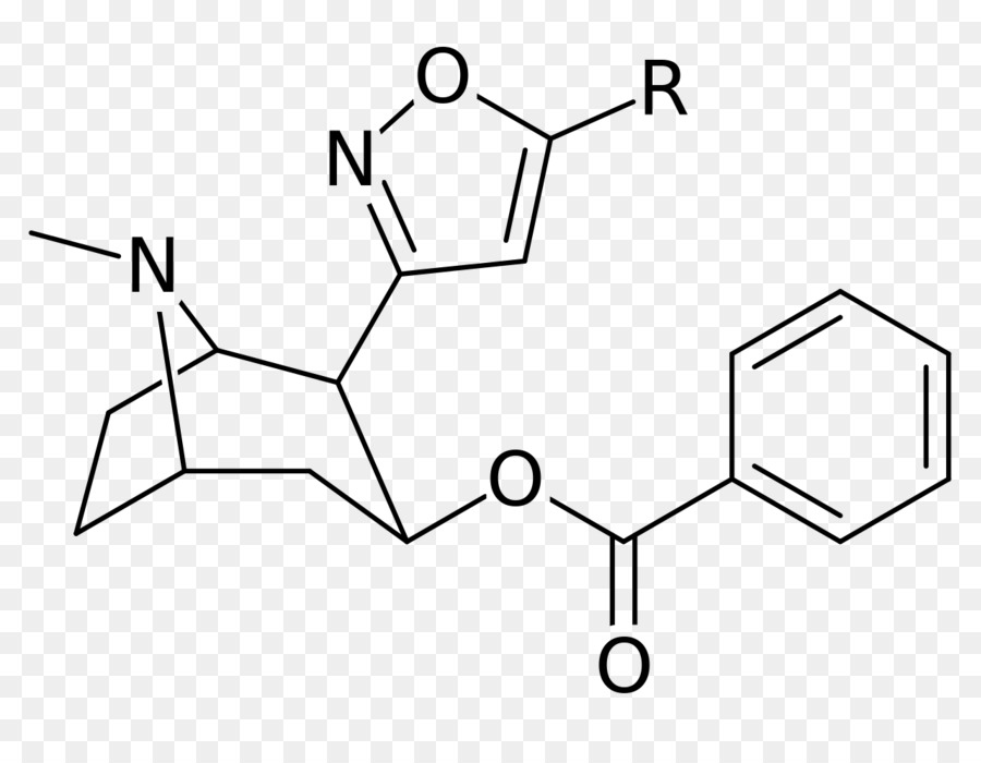 Catuabine，Alcaloide Tropano PNG