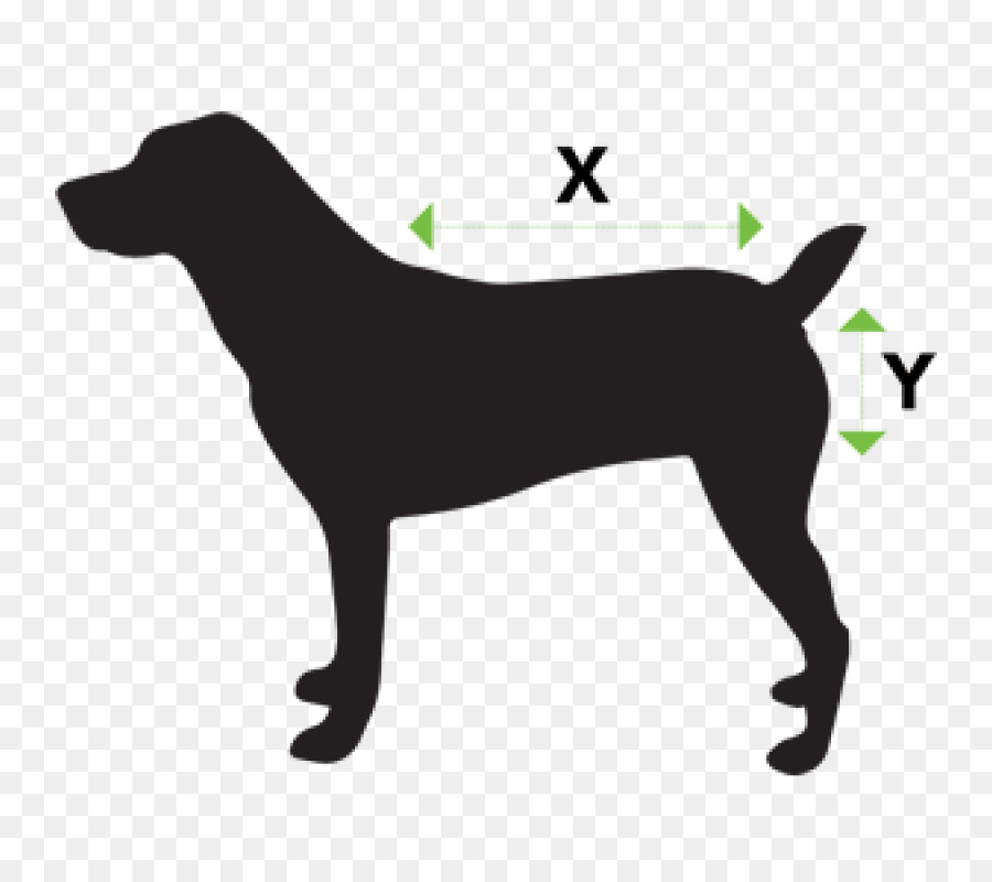 Labrador Retriever，Cuidado De Mascotas PNG