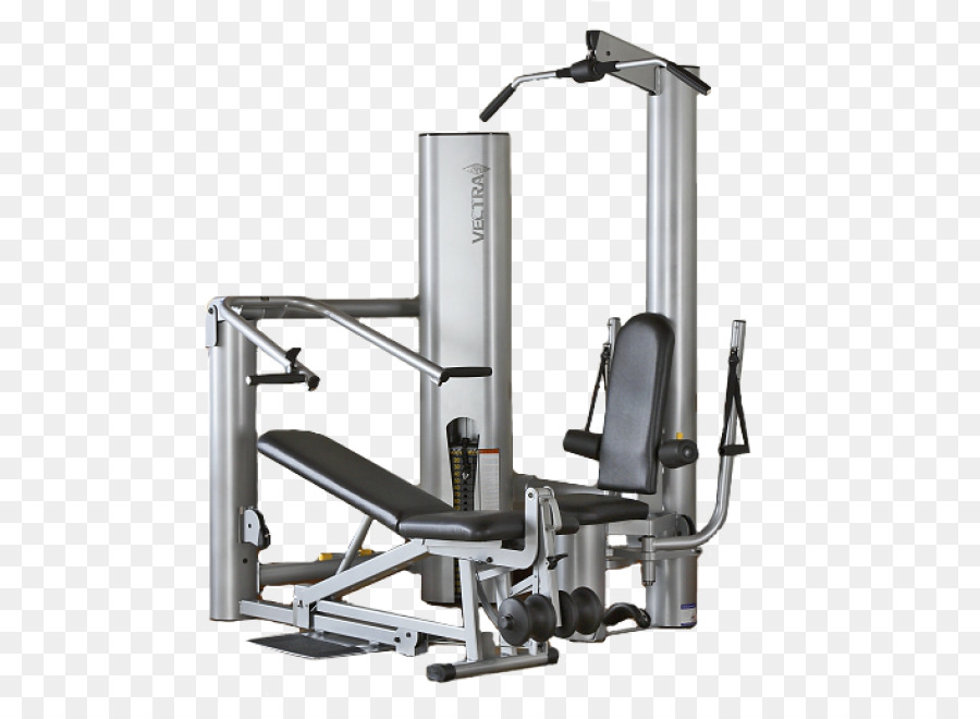 Gimnasio，Máquina De Ejercicio PNG