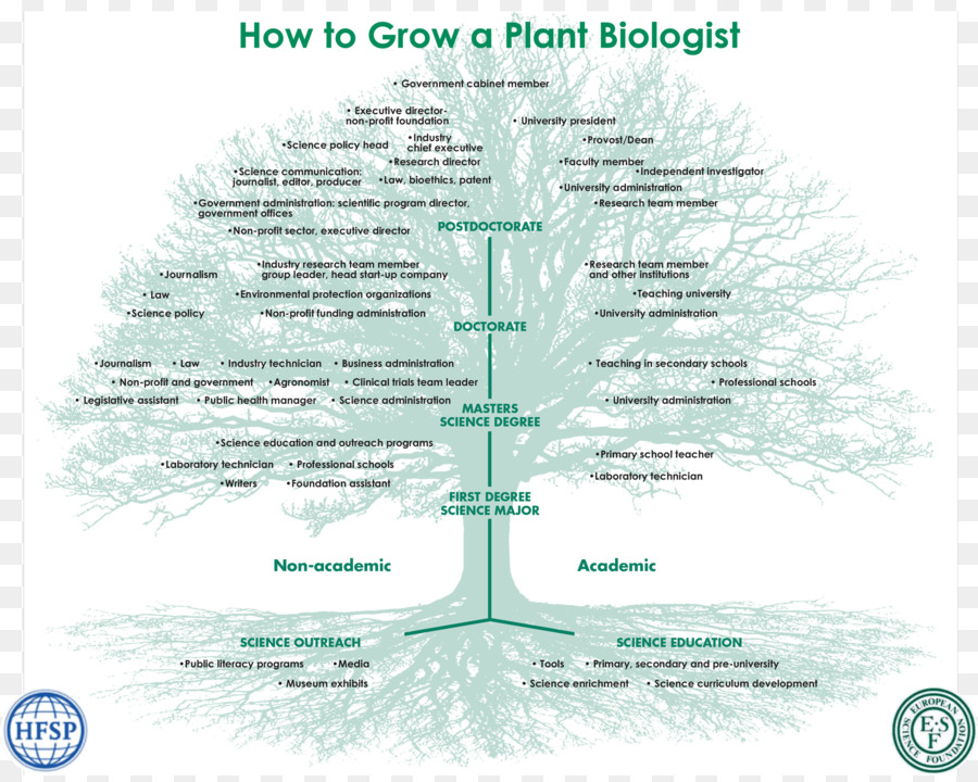 Biología，La Botánica PNG