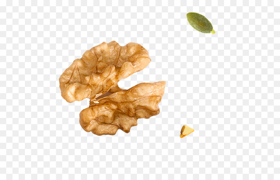 Nueces，Hoja PNG