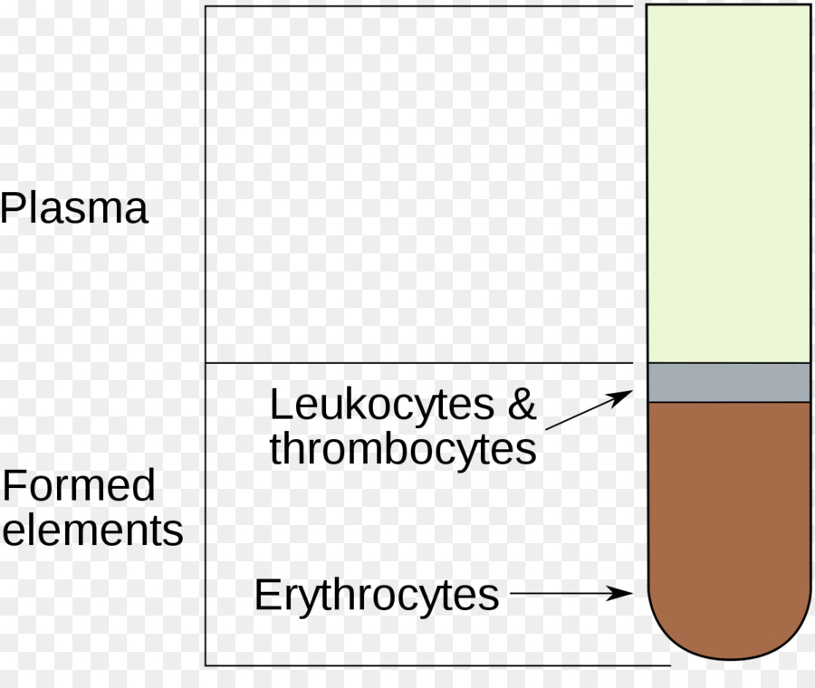 Hematocrito，Células Rojas De La Sangre PNG