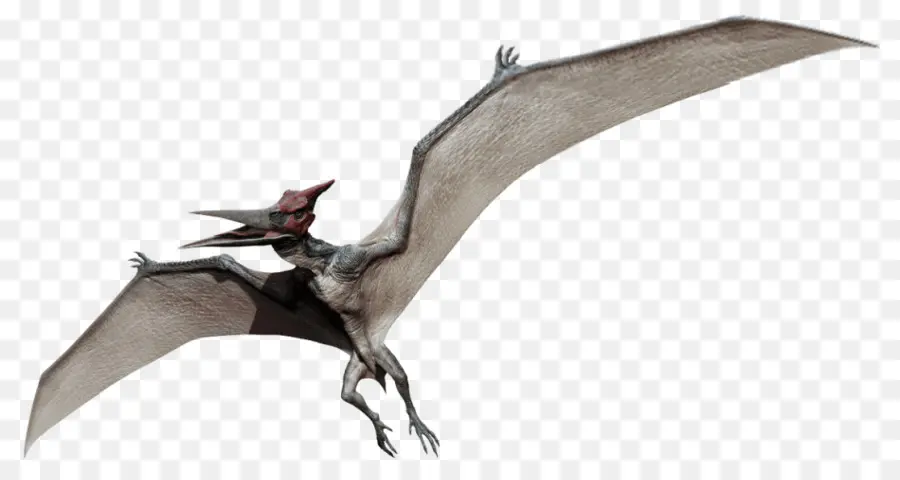 Velociraptor，Pteranodon PNG