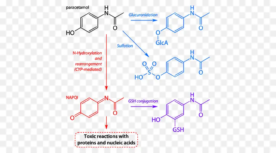 Reacción Química，Molécula PNG