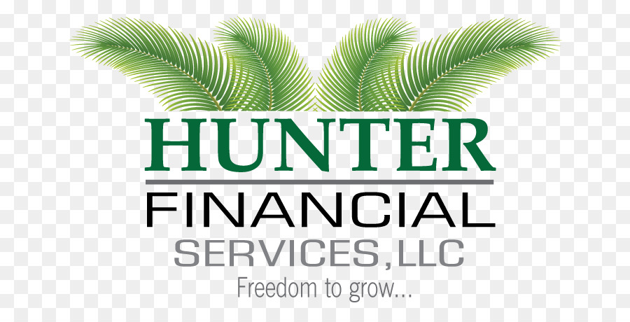 La Financiación，Hunter Financial Services Llc PNG