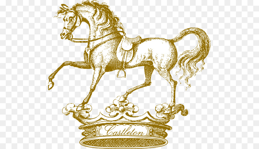 Caballo De La Tachuela，La Caza Del Zorro PNG